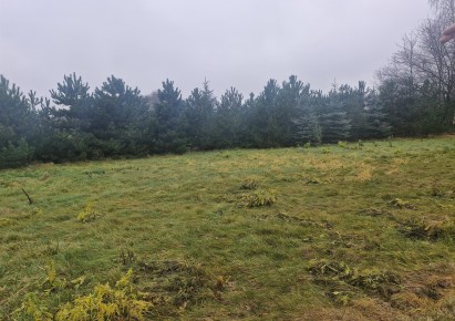 działka na sprzedaż - Stryków (gw), Orzechówek